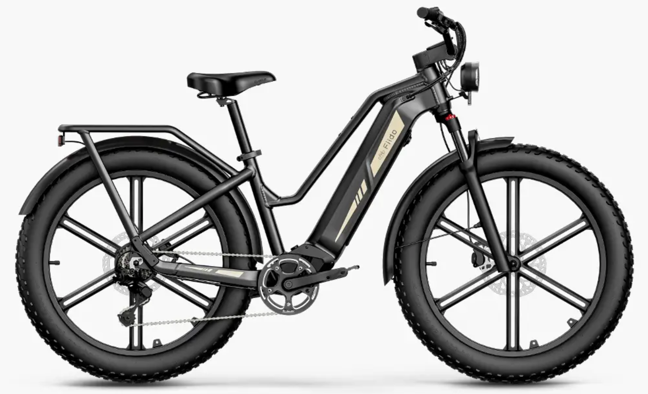 Fiido Titan Fat Tire Hunting and Touring Ebike