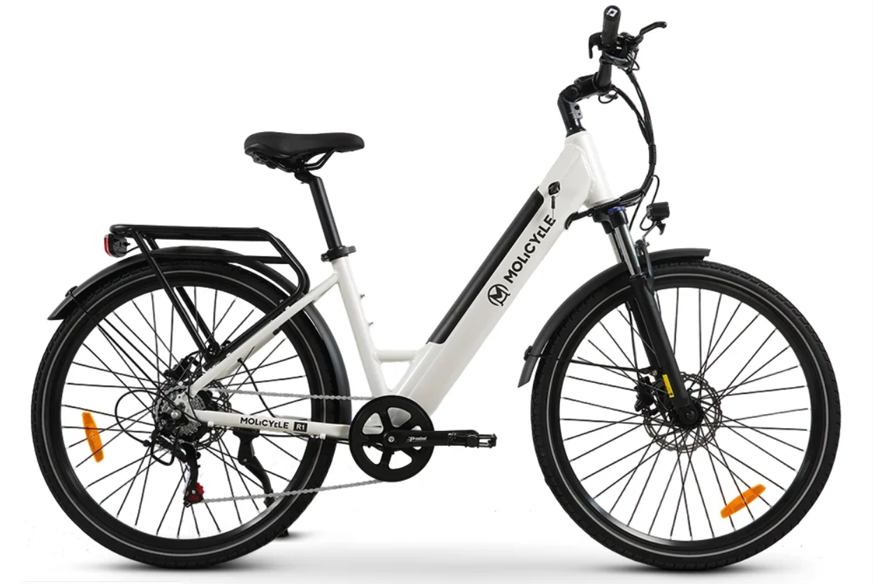 Molicycle R1 27,5